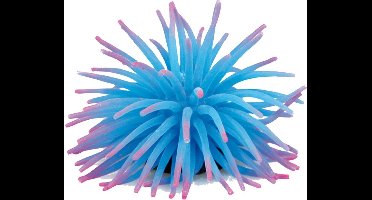 Flamingo Aquarium accessoires Anemoon  - 5 centimeter
