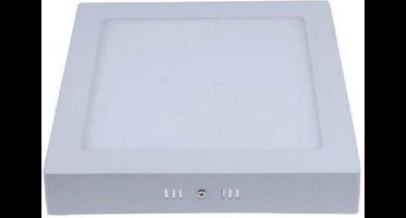 Groenovatie LED Paneel Plafondlamp 24W - Vierkant - 300x300 mm - Opbouw - Warm Wit