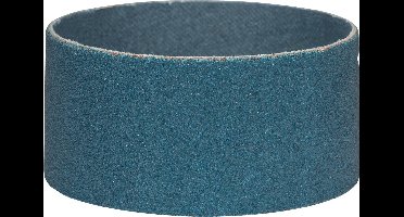 Bosch - Slijphuls 120, Ø60 x 30 mm