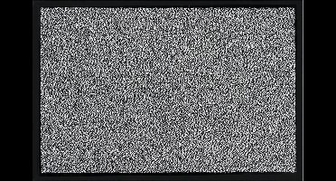 MD Entree - Deurmat - Shannon - Wit/Zwart - Vloerkleed - Met antislip - Wasbaar- Vocht absorberend - Hoge dichtheid 600gr/m2 - 40 x 60 cm