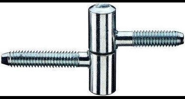 BSW inboorpaumelle 13 mm opdek  200 b-gv