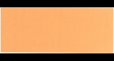 Bosch - 10-delige schuurbladset 93 x 230 mm, 60