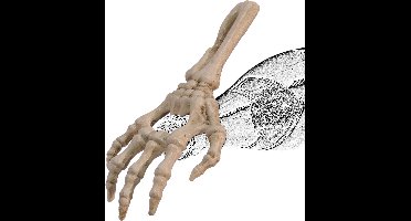 Maddeco - Flessenopener - opener - skelet - hand - ijzer - wit