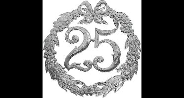 Jubileumcijfer 25 - 24cm - 25 Jaar - Zilver