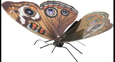 Metal Earth constructie speelgoed Buckeye Butterfly