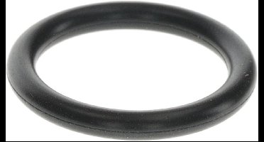 BOSCH O-ring 19x3, 87120050100