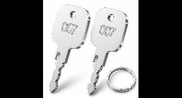 TSA 007 Sleutel Set (2 Stuks) – Universele TSA002/007 Koffersleutel – Bagageslot Sleutel – RVS – Inclusief Sleutelring – Compact & Duurzaam