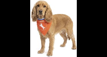 Hofman Animal Care WK Bandana Hond - M - Dierenkleding - Kleding voor Honden - Oranje