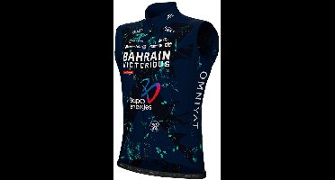 Ale Prime Bahrain Victorious Mouwloos T-shirt Blauw M Man
