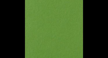 Folia Fotokarton grasgroen 50X70-300G