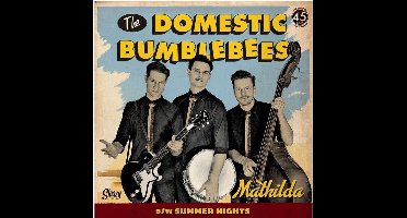 The Domestic Bumblebees - Mathilda (7" Single)
