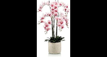 Emerald - Kunstplant in pot Phalaenopsis roze 100cm - Kunstplant voor binnen
