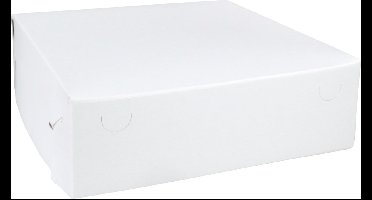 Zwanenhals/ verzenddoos | karton | 30x30x9cm | duplex | wit | 50 stuks