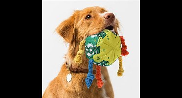 Oneay Interactieve hondenbal met touw – Piepend kauwspeelgoed voor training en tandverzorging