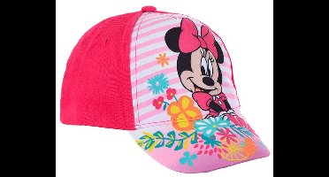 Disney Minnie Mouse - Voor Baby's - Voor meisjes - 50 cm