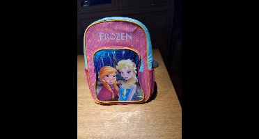 Frozen rugzak 31x42x13cm