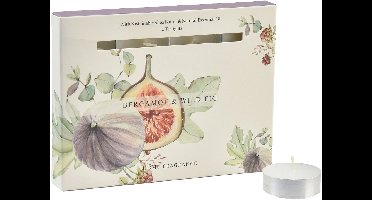 Geurkaarsen bergamot wilde vijg theelichtjes Ø3,5cm 12 st, 12 Stück