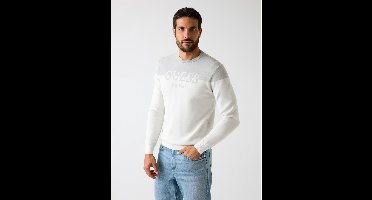 Guess Trui met logo op voorkant grijs,