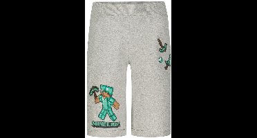 Minecraft kinderkorte kortfilms 8 jaar