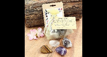 Buideltje Nieuwe woning