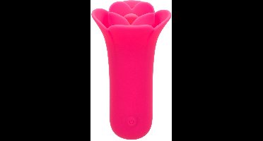 Lily Licker Mini Flower Flicker