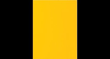 Exacompta ROCK''S 80 - Pak van 100 inlegmappen 22x31cm voor A4 - Citroengeel - 800011E