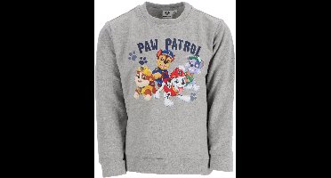 Paw Patrol Sweater