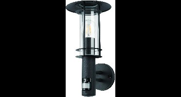 EGLO Lisio 1 Wandlamp Buiten - E27 - Sensor - RVS - Zwart
