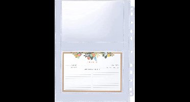 Allecto plus - Receptkaarthoezen met ringmappen en transparante mouwvellen