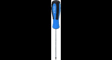 BRILLIANT TOOLS Schroevendraaier TORX T8 x 100 mm - BT031039