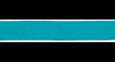 Taille-elastiek 38 mm turkoois - Elastiek - Prym