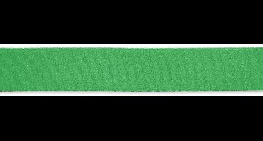 Taille-elastiek 38 mm groen - Elastiek - Prym