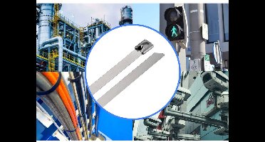 TRU COMPONENTS TC-12659388 Stalen kabelbinder 290 mm 7.9 mm AISI 304 100 stuk(s)