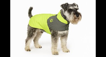 Hondenjas – Regenjas hond – Water- en winddichte hondenregenjas met fleece – Flamingo Regenjas Juno Groen – 40 cm