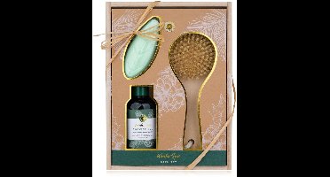 green-goose® Zen Spa Wellnessset in Houten Geschenkdoos - incl. Douchegel, Zeep, Badborstel - Geur: Fresh Pine & Winter Berries