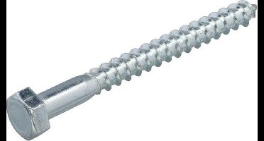 Houtdraadbouten - DIN571 Zeskant - M10 x 150mm - Verzinkt (50 stuks)