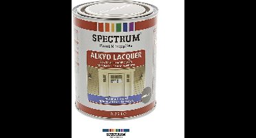 zijdeglans akydlak Geschikt voor hout, board en metaal 750 ml | antraciet binnen en buiten