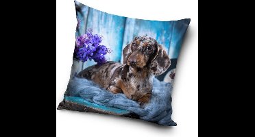 Hond - Sierkussen Kussen 40 x 40 cm inclusief vulling