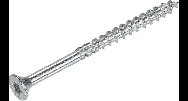 Dynaplus - Unischroeven - Torx 30 platkop - 6 x 160mm - Verzinkt - Deeldraad (100 stuks)