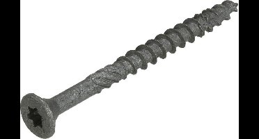 Dynaplus - Unischroeven - Torx 30 platkop - 6 x 100mm - AR-Coating - Deeldraad (100 stuks)