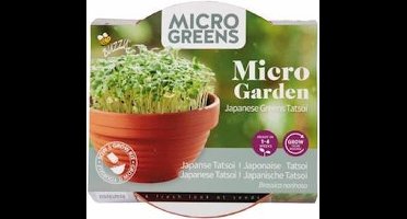 Buzzy® Microgreens Terracotta schaal Tatsoi