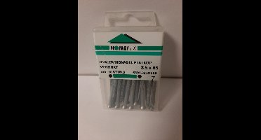 Ribnagel. 3.5x 65mm. Lang. Verzinkt. 20 stuks. Homefix.