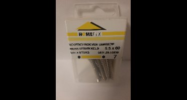 Homefix Houtschroeven Lenskop 5.5x60 mess.Vernikkeld
