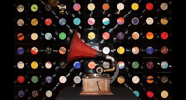 Tegeltjes gemaakt van oude langspeelplaten