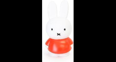 Nijntje Spaarpot - Small - Rood - 12 cm hoog