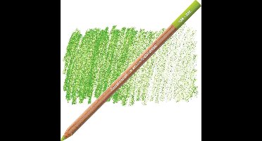 Caran D'ache Pastel Potlood - Middle Moss Green 10% (232)