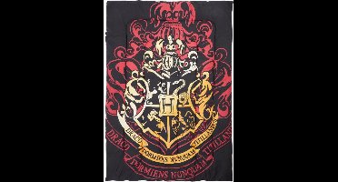 Harry Potter - Warner Brother - Hogwarts House - Deken - Maat 140x200