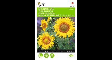 Lage zonnebloem Sunspot geel - Helianthus annuus