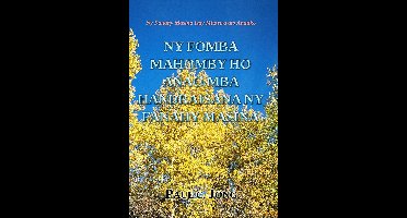 Ny Fanahy Masina Izay Mitoetra ato Anatiko: Ny Fomba Mahomby ho Anao Mba Handraisana ny Fanahy Masina