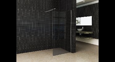 Sanifun Slim glasplaat rookglas 1100 x 2000 x 8 mm nano